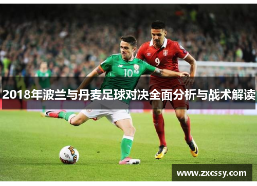 2018年波兰与丹麦足球对决全面分析与战术解读