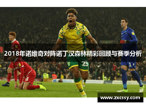 2018年诺维奇对阵诺丁汉森林精彩回顾与赛季分析